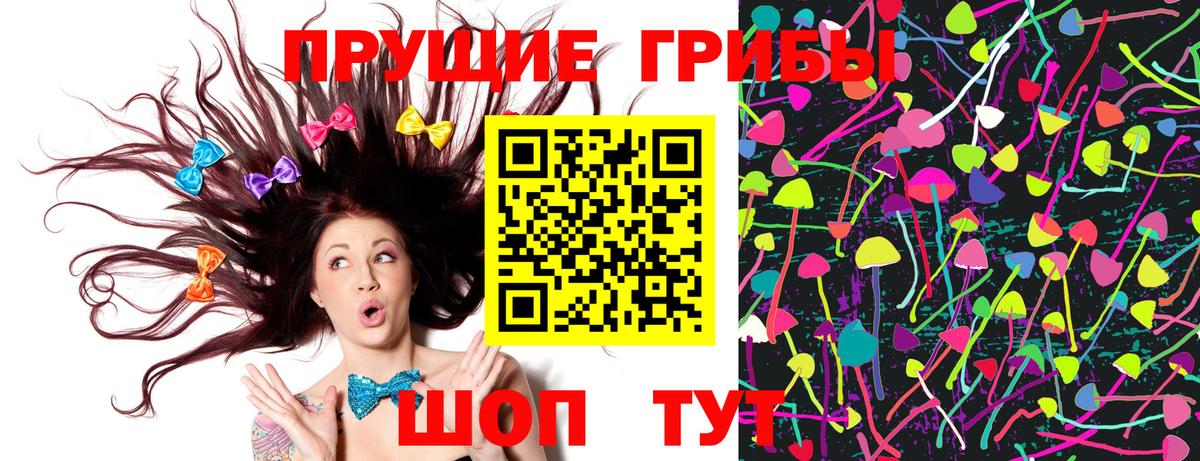 Псилоцибиновые грибы MAGIC MUSHROOMS  Вход с VPN  Псилоцибиновые грибы GOLDEN TEACHER  Дубна 
