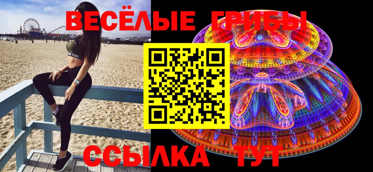 Галлюциногенные грибы Psilocybe Дубна
