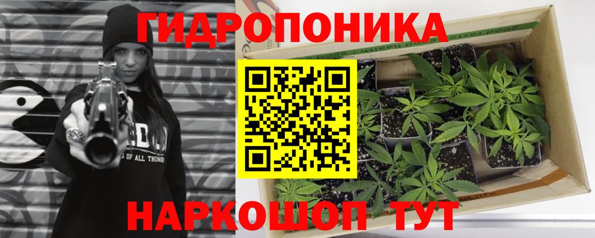 Каннабис Amnesia  Вход с VPN  Бошки марихуана марихуана  Дубна  МАРИХУАНА сатива  Каннабис Amnesia 